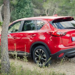 2015 Mazda CX-5 Skyactiv-D 150 AWD - im Wald