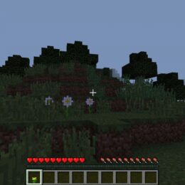 Screenshot: Minecraft