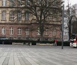 Zhiyun Smooth 3 Panorama