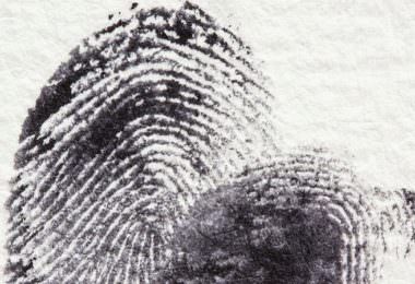 Fingerabdruck, Fingerprint, Touch ID