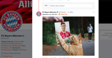 Cat-Content & Kids: Top-Teams setzen auf Viral-Klassiker