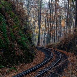 Nationalpark Harz