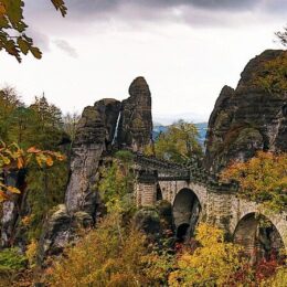 Wald, Herbst