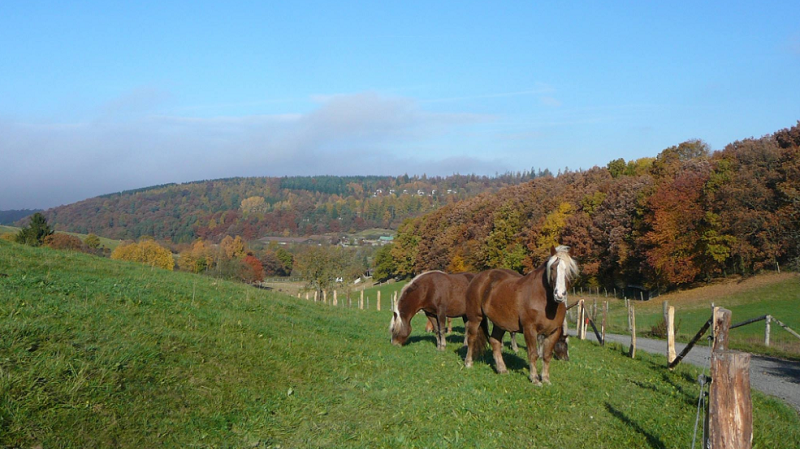 Naturpark Kellerwald-Edersee