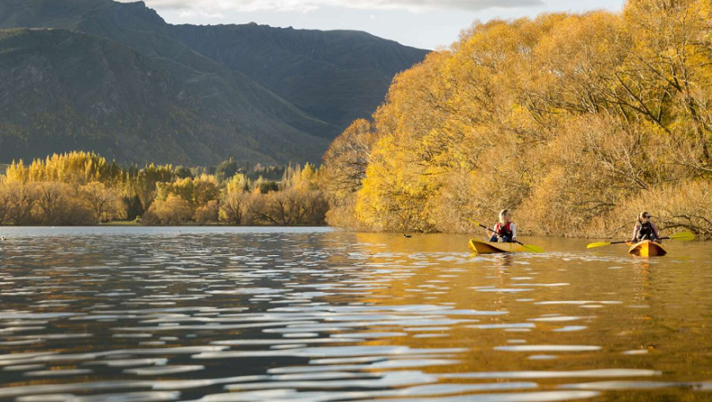 Queenstown, Arrow River, Neuseeland, See, Rudern, Herbst, Natur