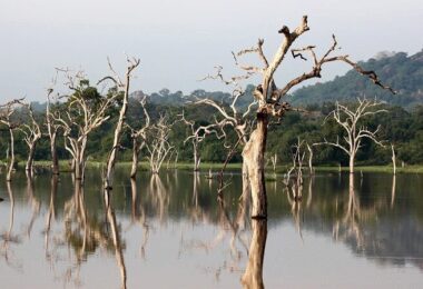 Yala, Nationalpark, Sri Lanka