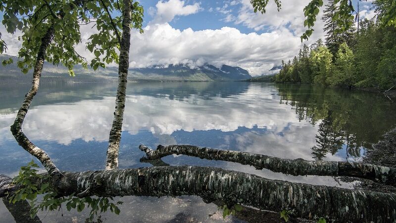 McDonald Lake Montana, USA, See, Natur