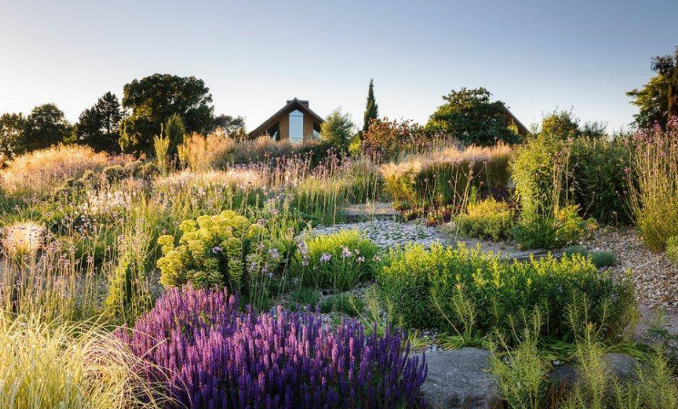 RHS Garden Bridgewater Salford, England, Blumenschau