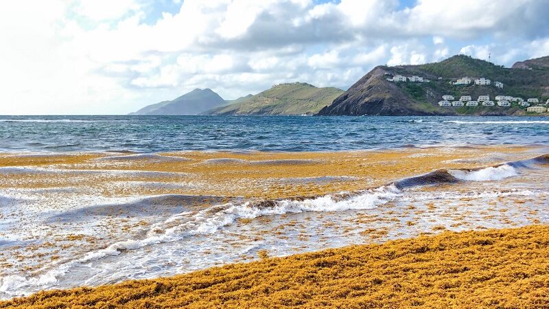 St. Kitts und Nevis, Karibik, Strand, Meer, Kittian Village