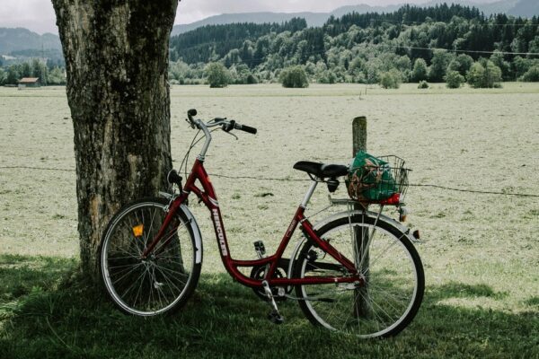 Fahrrad