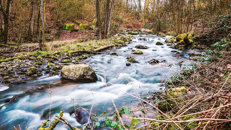 Düssel, Neandertal, NRW, Natur, Fluss