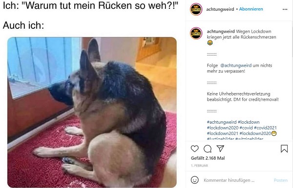 Schäferhund