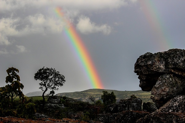 Regenbogen, Afrika, Bäume, Landschaft, Natur