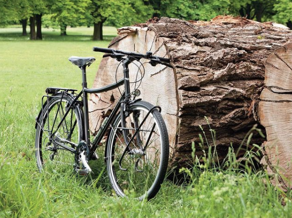 ZEG, Fahrrad, Baumstamm