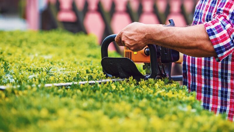 besten Akku-Heckenscheren, Garten, Heckenschere, Stiftung Warentest, Batterie, Hecke