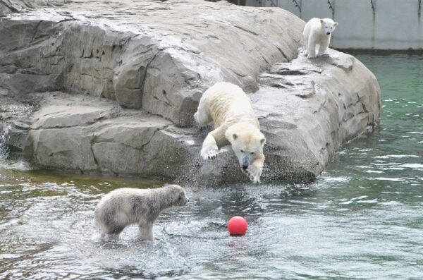 Freizeit, Erholung, Tierpark, Familie