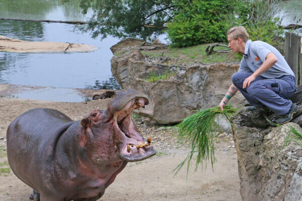 besten Zoos, Freizeit, Erholung, Tierpark, Familie