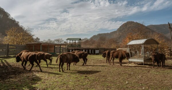 Freizeit, Erholung, Tierpark, Familie