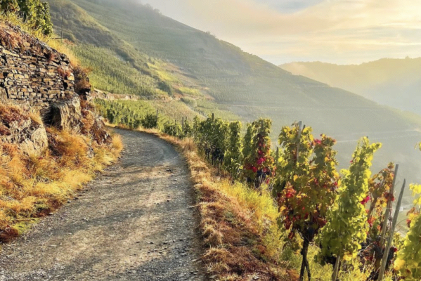 beliebtesten Wanderwege, Deutschland, Freizeit, Sport