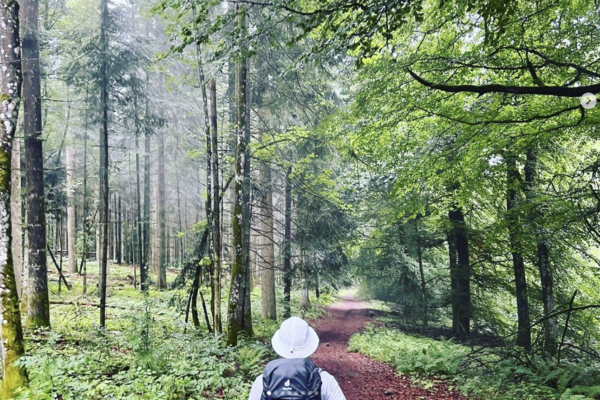 beliebtesten Wanderwege, Deutschland, Freizeit, Sport