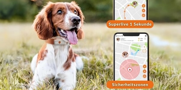 besten GPS-Tracker, Haustiere, Geräte, Hardware, Modell, Ortungsdienst, Mobilfunk, Suchen, Finden, Gepäck, Fahrrad