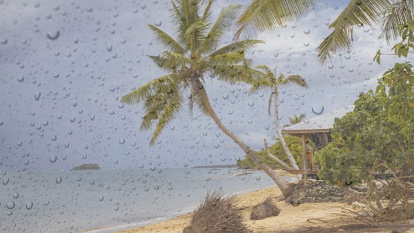 In diesen Ländern regnet es am meisten, Regen, Regenzeit, Tropen, Klima, Niederschlag, CIA, Monsun, Trockenzeit