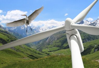 Windräder Vögel, erneuerbare Energien, Umwelt, Umweltschutz, Klimaschutz, Tierschutz, Windpark, Windkraft, Forschung