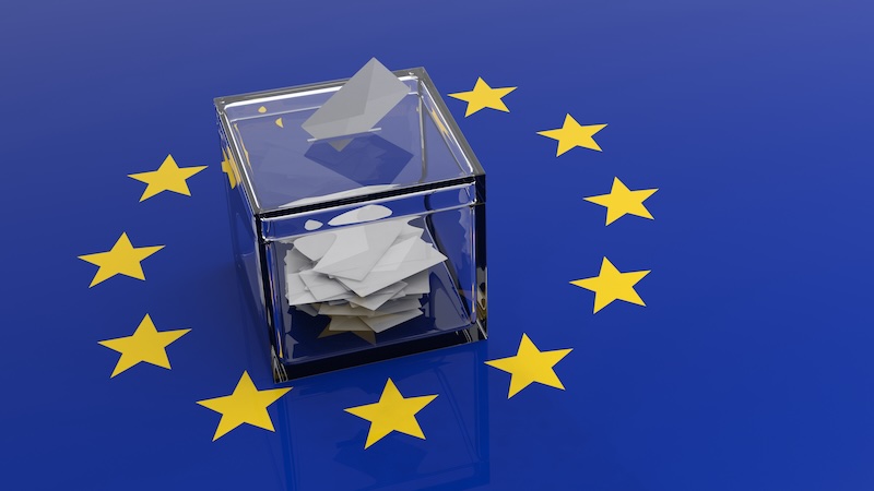 Europawahl 2024 Wahlprogramme Vergleich