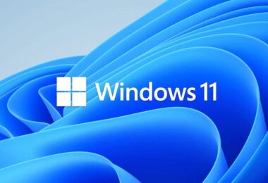 Microsoft-Konto in ein lokales Konto umwandeln, Windows 11, Microsoft,