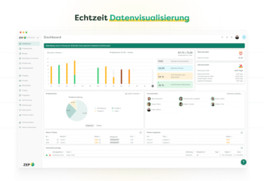 Effektives Projektcontrolling ZEP