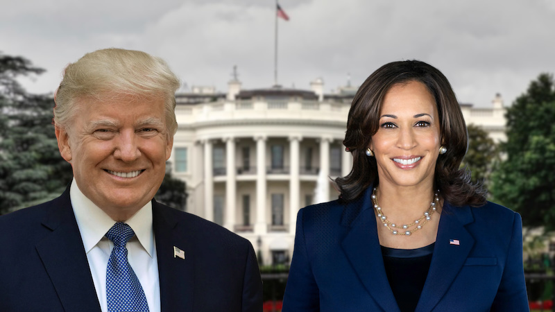 Wahlprogramm Kamala Harris Donald Trump USA Präsidentschaftswahl