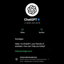 ChatGPT über WhatsApp nutzen einrichten aktivieren