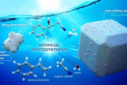 Künstliche Fotosynthese